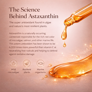 Astaxanthin Ampoule Serum